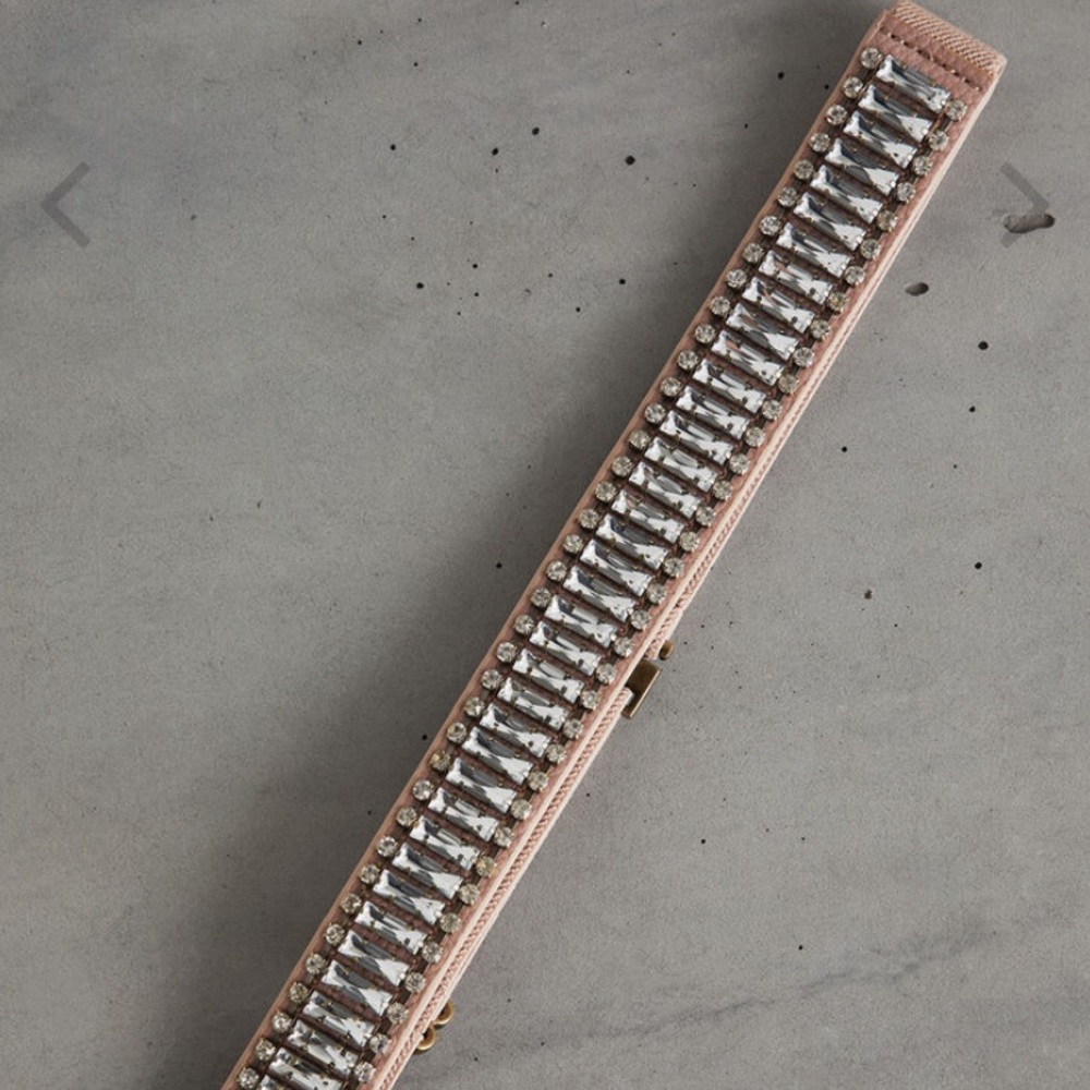 BCBG stone belt - tea rose